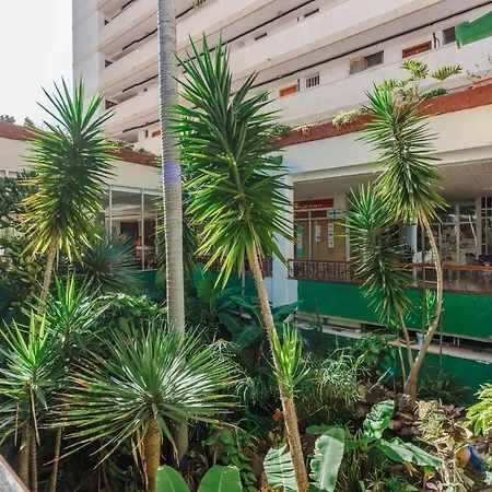 Apartment El Dorado Playa de las Americas (Tenerife)